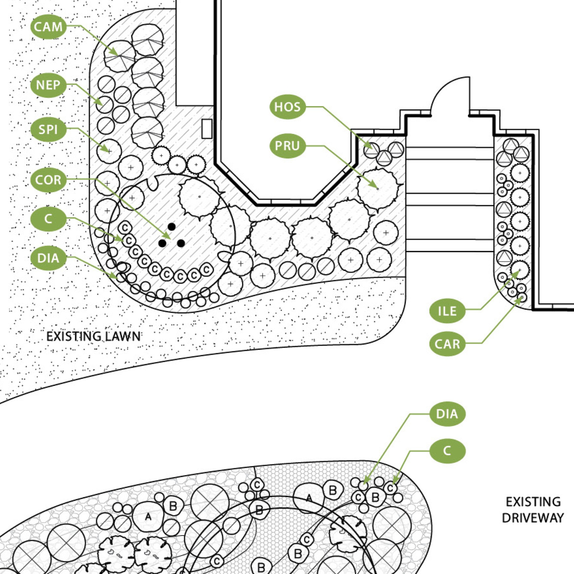 Professional planting design plan with labeled plant species and bed layout for Tennessee residential property by Prestige Landscape