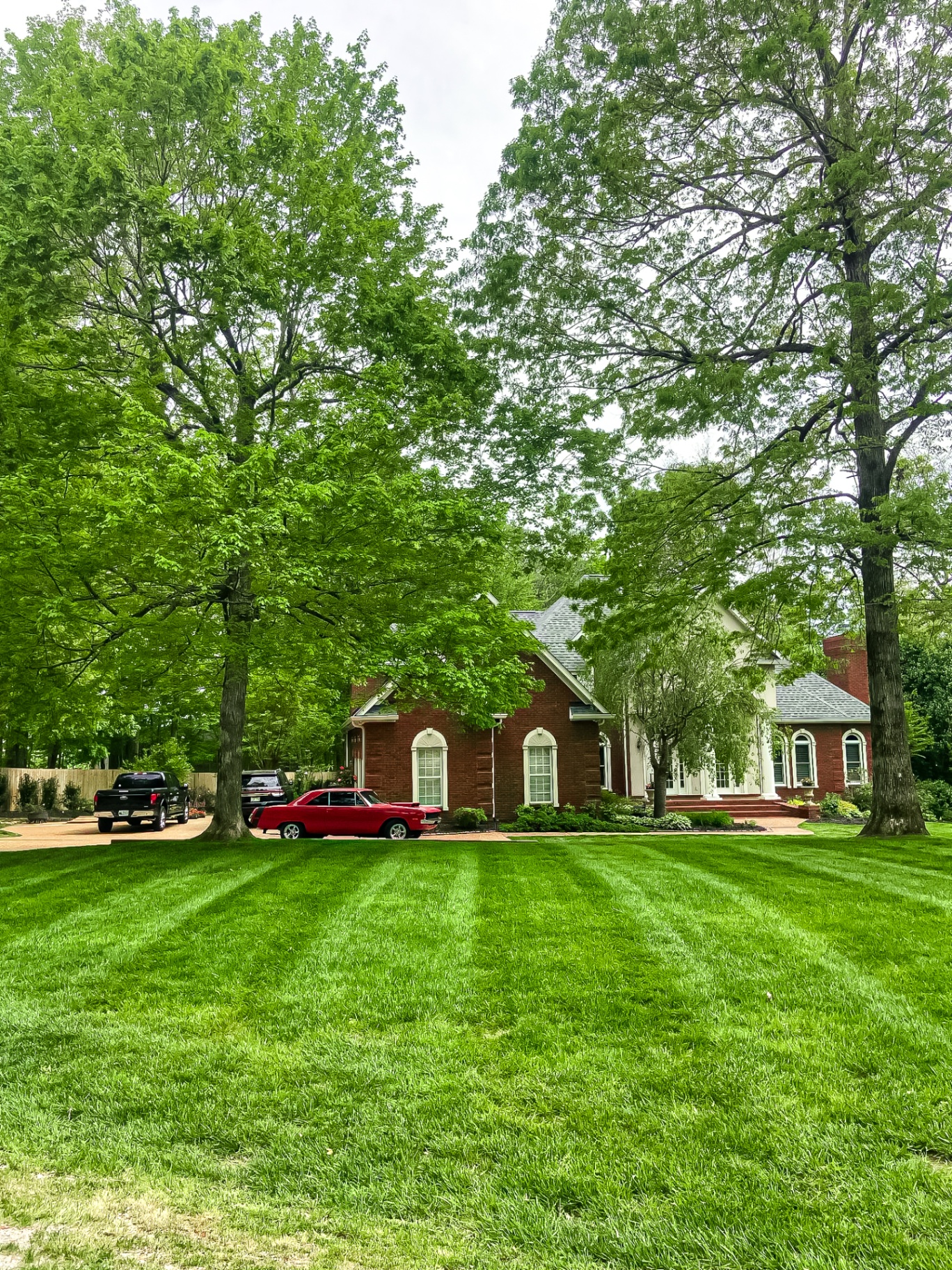 Estate Management