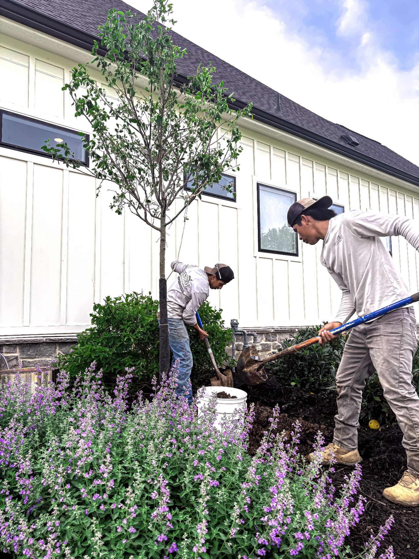 Professional landscapers installing trees and flowering shrubs at Tennessee residential property