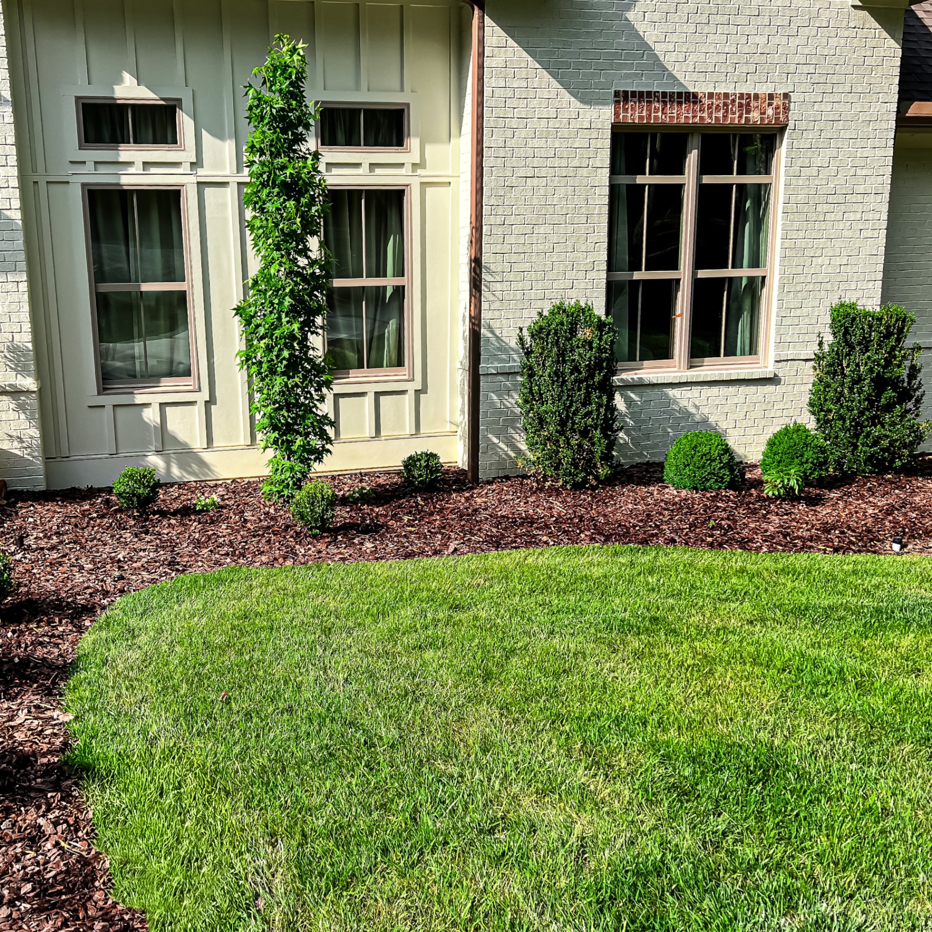 Premium mulch bed installation with ornamental shrubs at Tennessee residential property