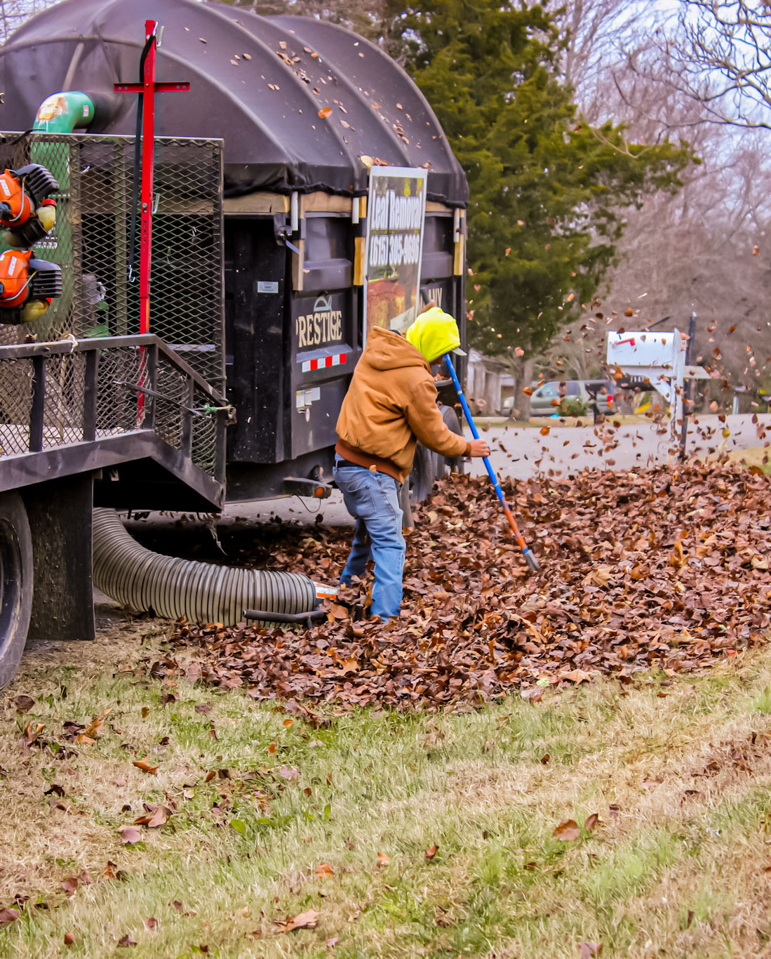 Seasonal landscape services